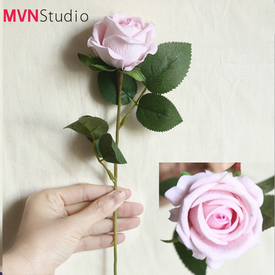 MVN Studio - Ins mẫu hoa hồng decor trang trí nhà cửa phụ kiện chụp ảnh
