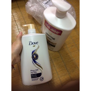 Dầu gội dove 1,4kg