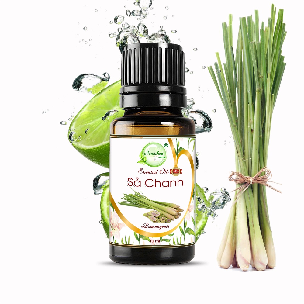TINH DẦU XÔNG PHÒNG CAO CẤP LỌ 10ML GIÁ SIÊU RẺ