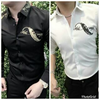 Sơ mi quảng châu lông vũ, mặc cực sang (kèm ảnh thật)