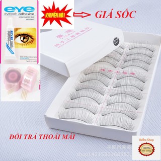 Combo 10 cặp mi giả lụa đài loan-cuộn kích mí 440 chiếc-keo dán mi eye