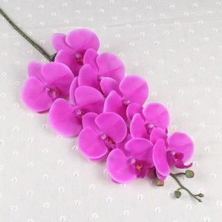 Cành lan hồ điệp cao su 9 bông thân đốm