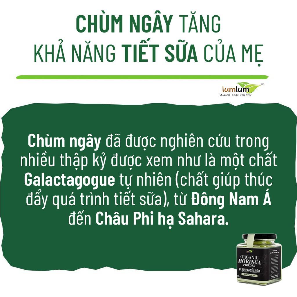 Bột chùm ngây hữu cơ 150g Lumlum Organic Moringa Powder