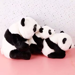 Gấu trúc ngồi nhồi bông thú nhồi bông 30x20cm loại đẹp