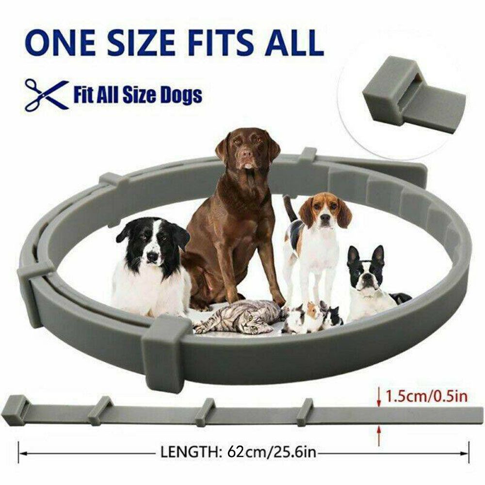 Vòng cổ silicon chống muỗi/ côn trùng bảo vệ cổ dành cho thú cưng 8 tháng