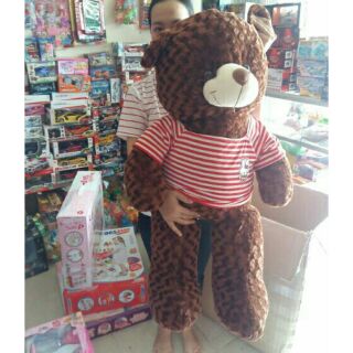 Combo 2 gấu teddy 1m2 và 1m