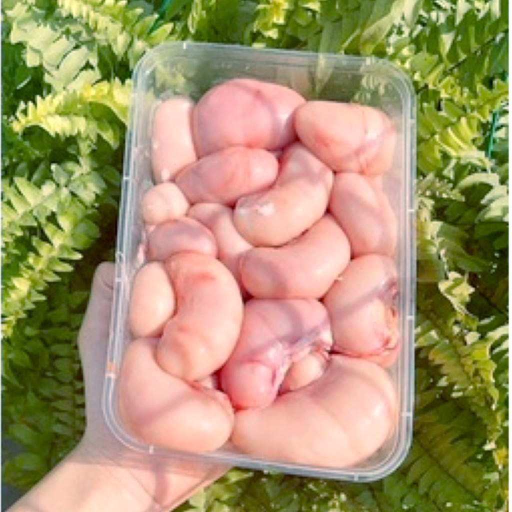 Kê Gà, Ngọc Kê tươi khay 500g size lớn thơm ngon, bổ dưỡng - Ship hỏa tốc 1h Hà Nội
