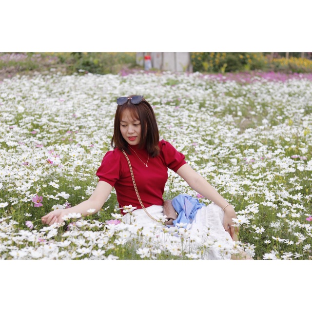 hoathienly_123