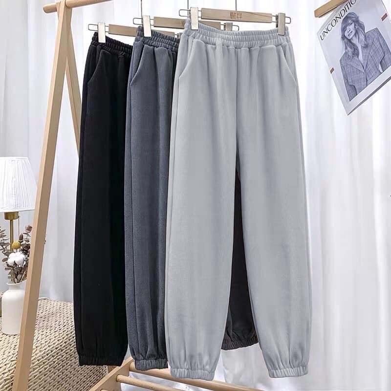 Quần jogger bo gấu - quần ống rộng chất nhung tăm Hàng quảng châu - Mono Boutique