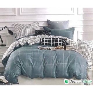 Bộ Vỏ Chăn Ga Gối Cotton 100% - CT1310