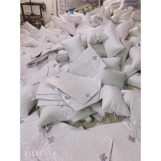 SỈ GỐI THƠM LAVENDER