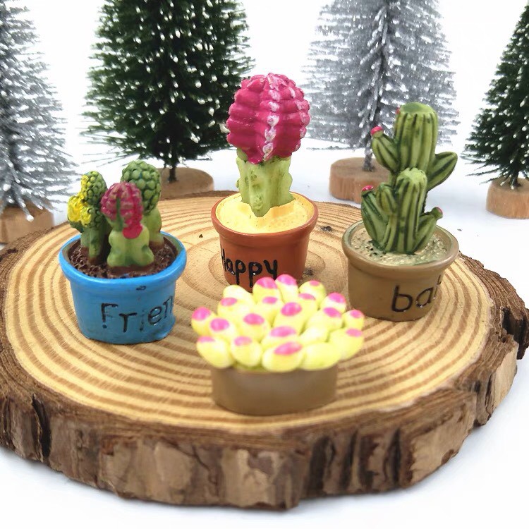 Tiểu cảnh chậu cây kaki trang trí terrarium cực cute trang trí sen đá