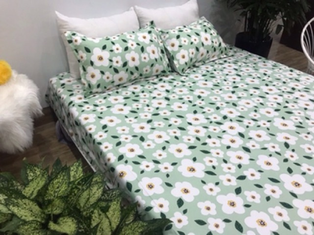 Bộ ga chun và 2 áo gối nằm Emmidecor - mẫu hoa bèo, drap cotton poly