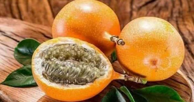 🍋 Chanh dây ngọt Colombia trái vàng