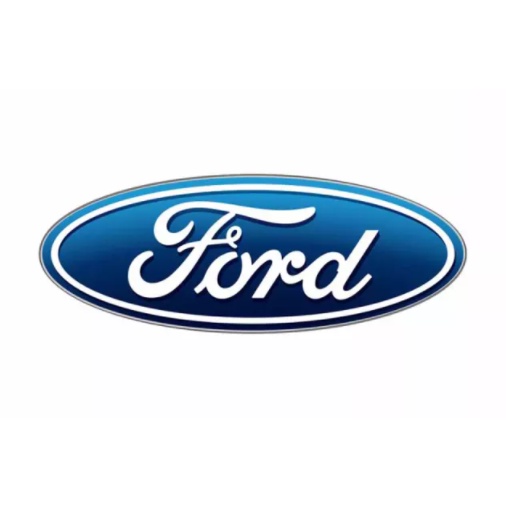 [FORD] Bộ 10 Miếng Dán Silicon Chống Xước Hõm Cửa, Tay Nắm Cửa , Gương Ô Tô Xe Hơi Có Logo Hãng Xe Ford