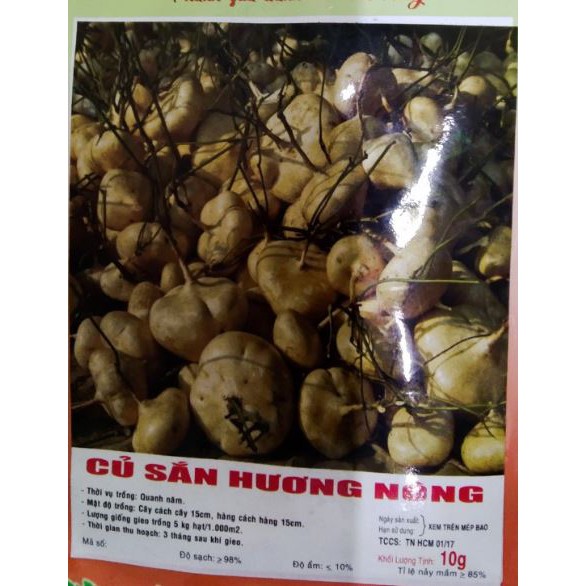 HẠT GIỐNG CỦ SẮN CỦ ĐẬU - GÓI 10 GRAM