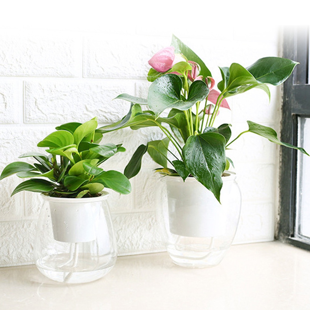 1 Bình Hoa Thủy Tinh Có Giá Đỡ Bằng Sắt Phong Cách Bắc Âu Trang Trí Nội Thất