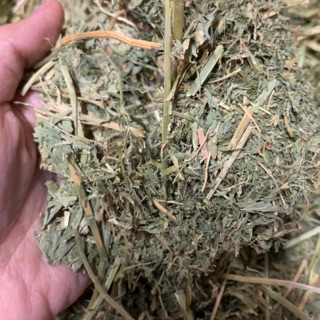Cỏ khô Alfalfa (loại nhiều lá)/ 1kg