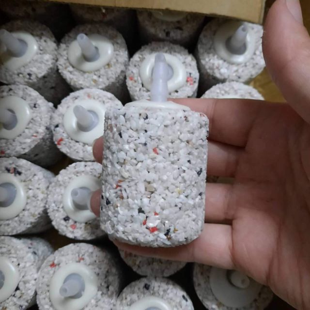 Quả sủi oxy đá trắng muối tiêu cho bể cá