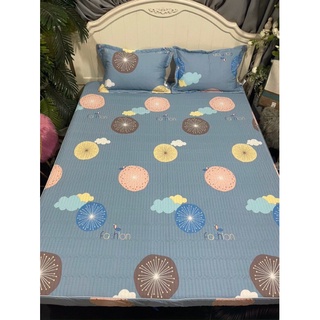 Combo 1 bộ ga 1m6 đệm 20p và bộ ga 1m8, 4 vỏ gối ôm