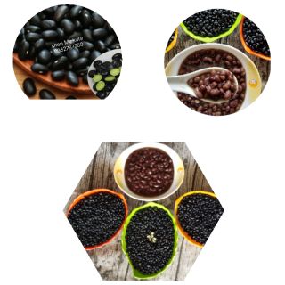 đậu đen xanh lòng 5 kg