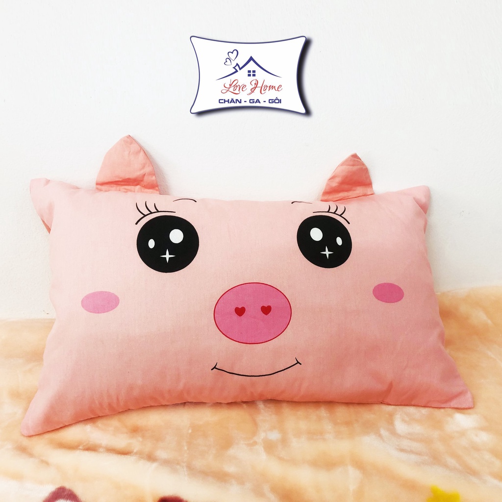 Gối Trẻ Em Cotton 100% Vỏ Gối Hoạt Hình Dễ Thương 1–10 Tuổi Lõi Bông Mềm Cho Bé Size 30x50cm