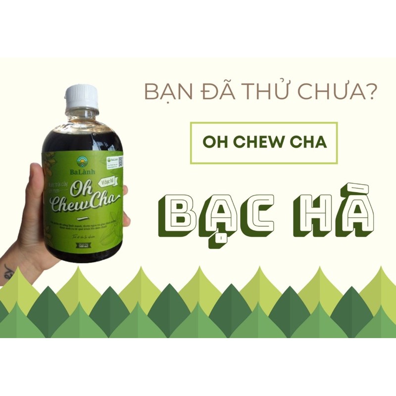 Nước trái cây lên men - Oh chewcha bạc hà (chai 500ml)