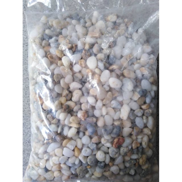 sỏi trang trí bể cá