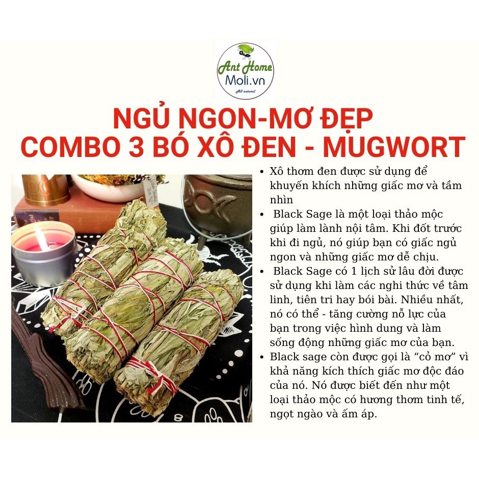 Combo 1-2-3 bó xô thơm đen (black sage - Mugwort) Lưu ý số lượng