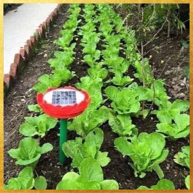 Combo 5 Máy Niệm Phật Hoa Sen Năng Lượng Mặt Trời Cao Cấp