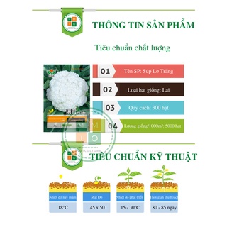 Hạt giống súp lơ trắng