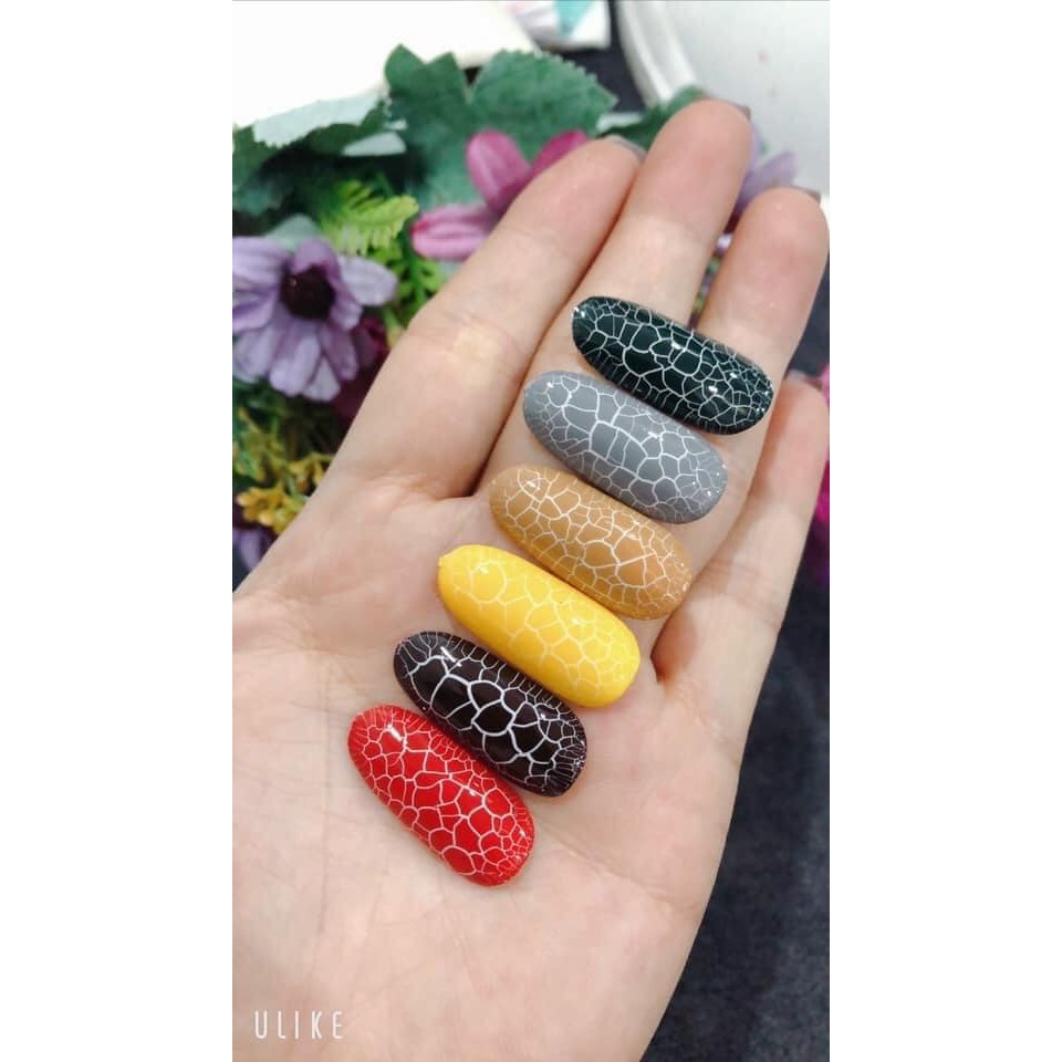 Sơn nứt bobo sét 6 màu