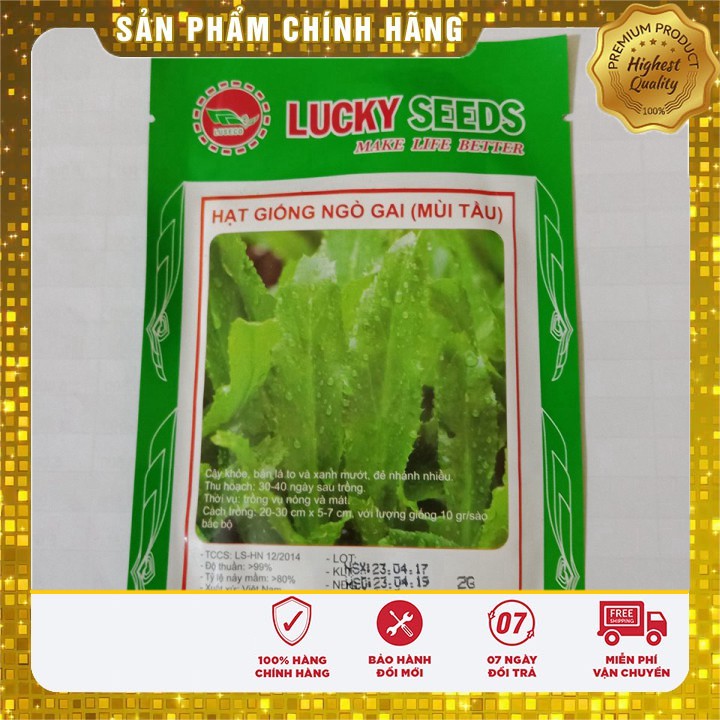 Hạt Giống Mùi Tàu(Ngò Gai) 5gr