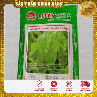 Hạt Giống Mùi Tàu(Ngò Gai) 5gr