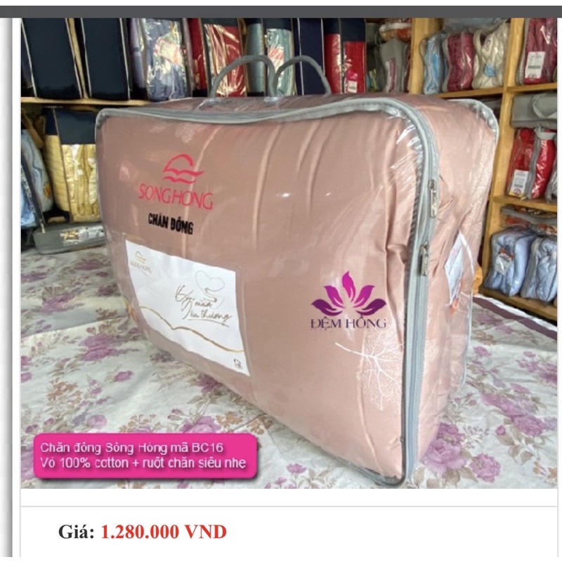 Chăn đông sông Hồng bông tinh khiết siêu chống khuẩn hàng chuẩn công ty sông hồng