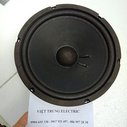 Loa bass 25 từ kép 126 - 100 - 1 Đôi