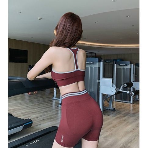 Set bộ đồ tập gym yoga nữ dệt kim ombre áo bra kèm mút quần đùi ngố cao cấp Bin Sports BL022