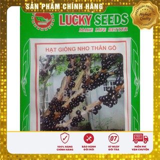 HẠT GIỐNG NHO THÂN GỖ ( 3 hạt )