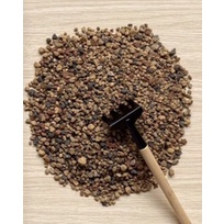 Giá thể trồng cây bonsai promix
