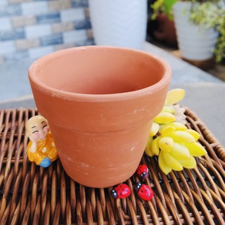 Chậu Đất Nung trồng Sen Đá