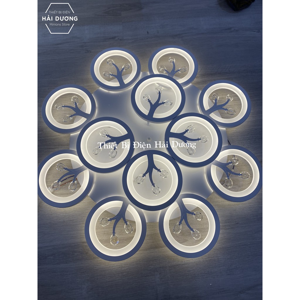 Đèn Ốp Trần Hiện Đại Decor 12 Hoa Pha Lê NT031 - 3 Chế Độ Ánh Sáng - Tăng Giảm Ánh Sáng - Hẹn Giờ Ngủ - Điều Khiển Từ Xa