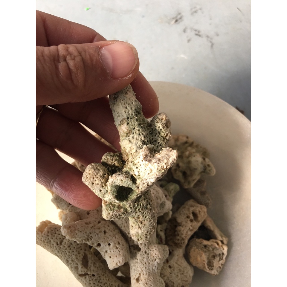 1 kg San hô biển trang trí bể cá cảnh,tiểu cảnh.