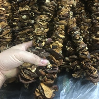 Nấm hương