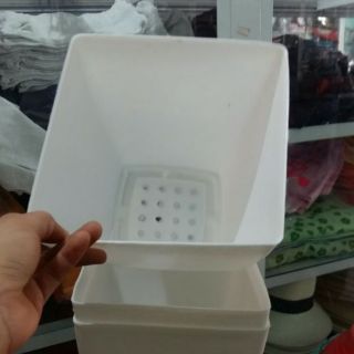 Chậu nhựa vuông 20cm