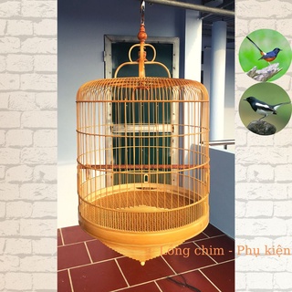 Lồng chim Chòe than Lồng chim Chòe dũi chỉ đẹp
