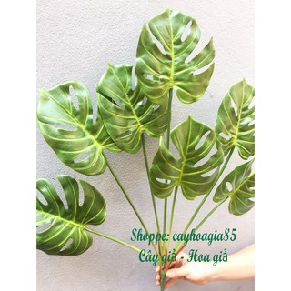 Cây giả _ Cây lá Rùa Cao Cấp
