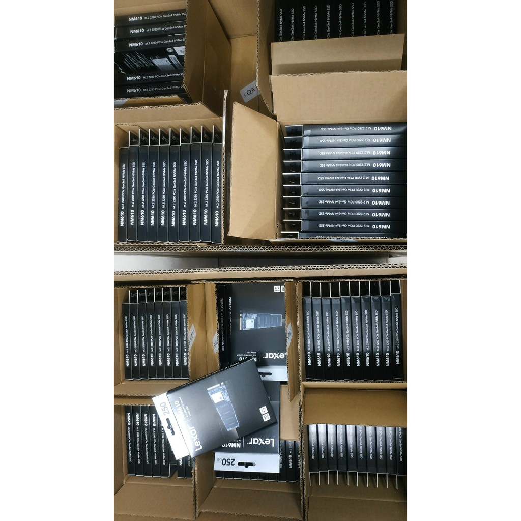 Ổ Cứng SSD Lexar NM610-250GB 250GB M.2 2280 NVMe - New - Full Box - Chính Hãng Mai Hoàng - BH 36 Tháng