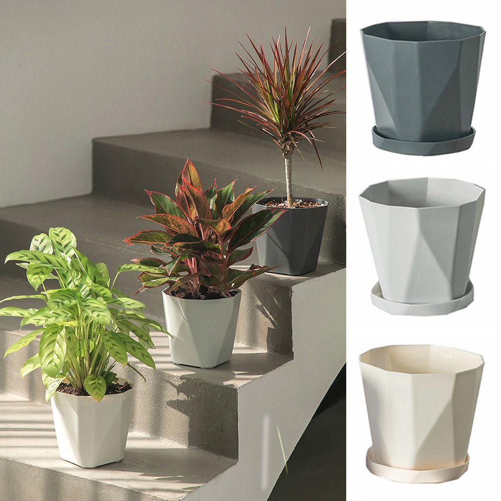 GOGOUP Bộ 3 Khay Trồng Cây Tiện Lợi