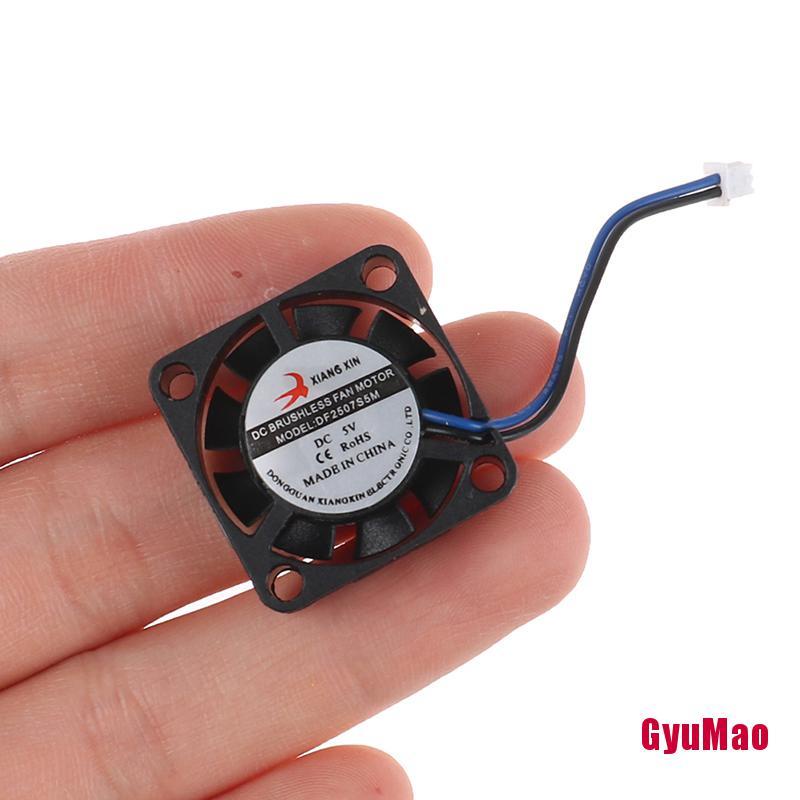 Quạt Điện Mini Siêu Nhỏ Không Chổi Than DC 5V 6V 2507 Mini Tiện Dụng