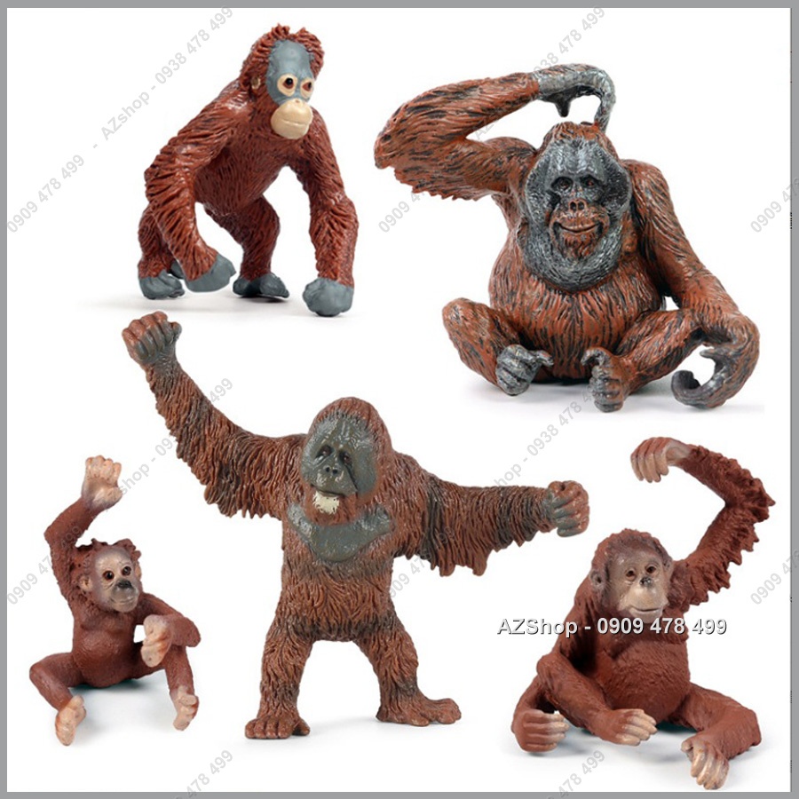 Mô Hình Đười Ươi - 7669
